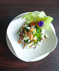 lunch